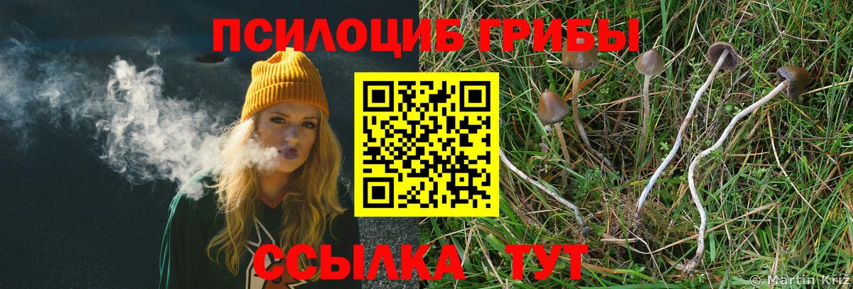 Можга  Галлюциногенные грибы ЛСД  Вход с VPN  Псилоцибиновые грибы мицелий 