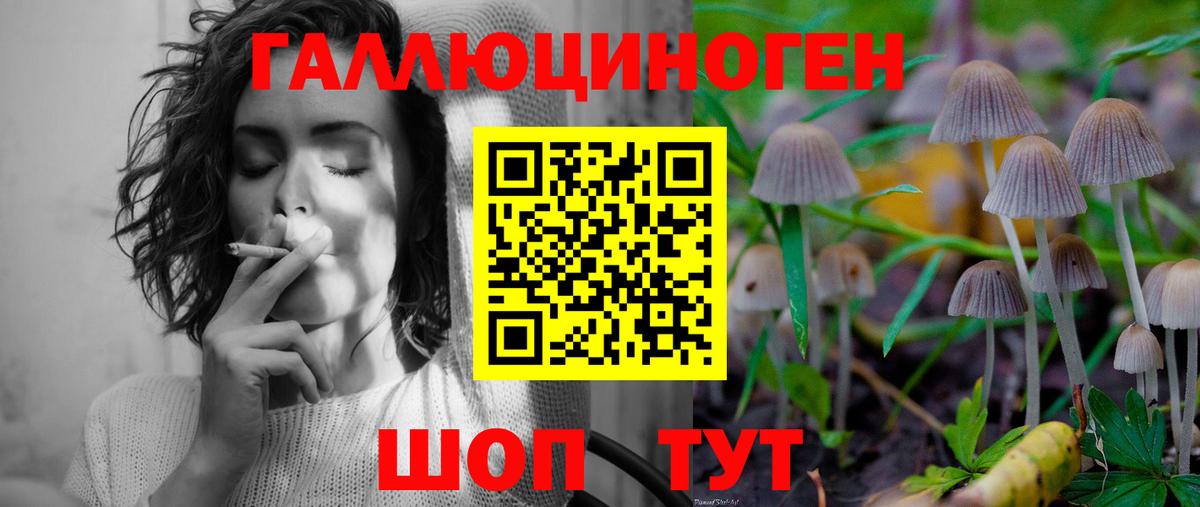 Галлюциногенные грибы Psilocybine cubensis Можга